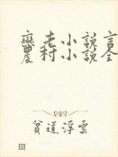 恋老小说言情网农村小说全文阅读