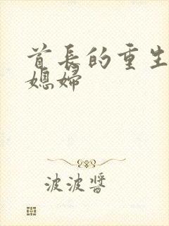 首长的重生宝贝媳妇