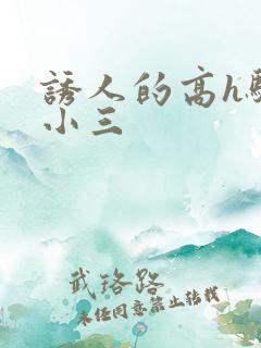 诱人的高h骚当小三