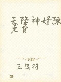 天降神婿陈黄皮免费