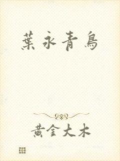 叶永青鸟