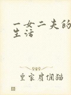 一女二夫的激情生活