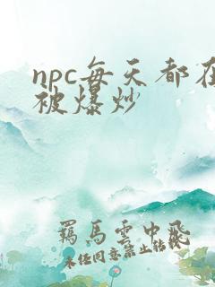 npc每天都在被爆炒