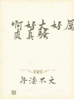 啊好大好厉害好爽真骚