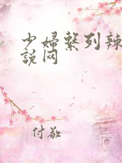 少妇系列辣文小说网