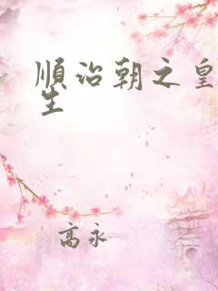 顺治朝之皇后重生