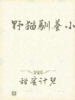 野猫驯养小说