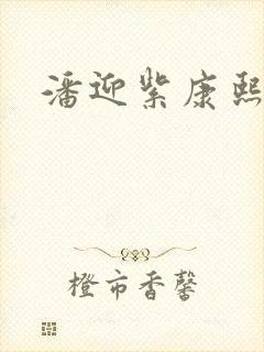 潘迎紫康熙来了