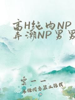 高H纯肉NP 弄潮NP男男