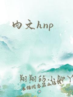 肉文hnp