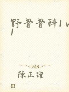野骨骨科1 v1