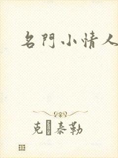 名门小情人