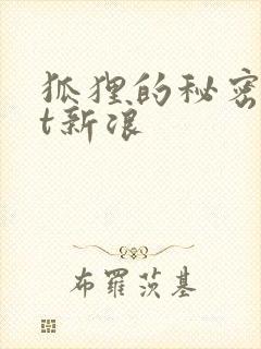 狐狸的秘密txt新浪