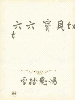 六六 宝贝txt