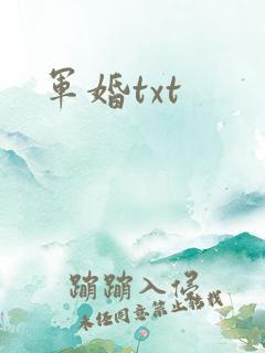 军婚txt