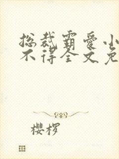 总裁霸爱小妻惹不得全文免费阅读笔趣阁