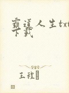 霸道人生txt下载