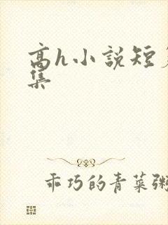 高h小说短篇合集