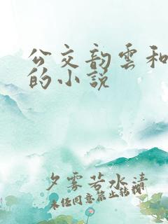 公交韵云和小健的小说