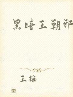 黑暗王朝邪恶版