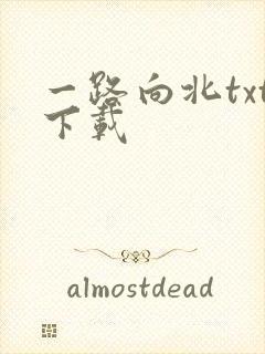 一路向北txt下载