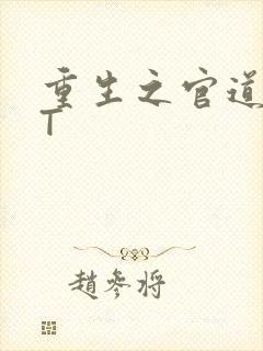 重生之官道TXT