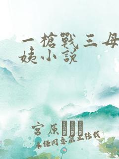 一枪战三母2雪姨小说