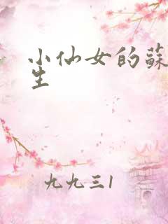 小仙女的苏撩先生