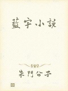 蓝宇小说