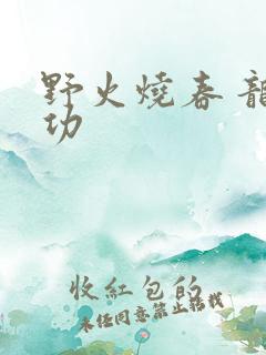 野火烧春 龙鸣功