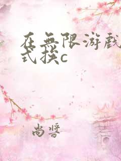 在无限游戏里花式挨c