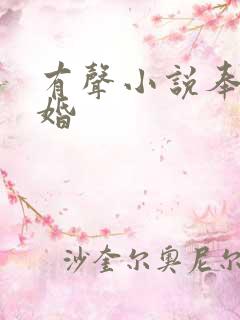 有声小说奉子成婚