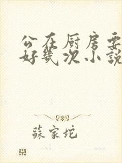 公在厨房要了我好几次小说