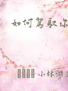 如何驾驭你的龙