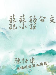 苏苏的公交车日记小说