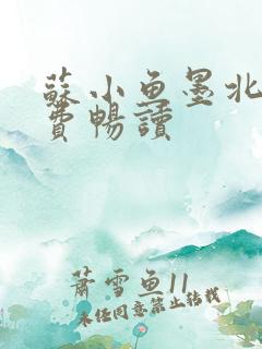 苏小鱼墨北枭免费畅读