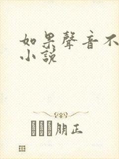 如果声音不记得小说