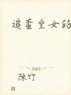追查皇女的踪迹
