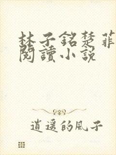 林子铭楚菲免费阅读小说