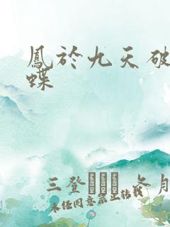 凤于九天破茧成蝶