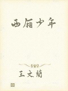 西厢少年