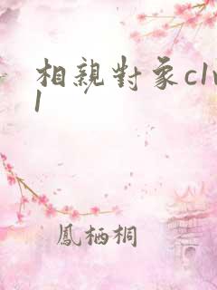 相亲对象c1v1