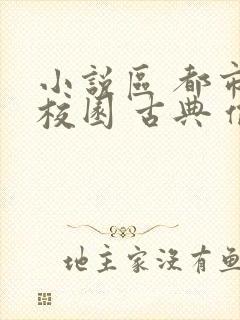 小说区 都市 校园 古典 偷拍