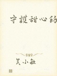守护甜心的小说