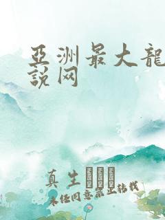 亚洲最大龙腾小说网