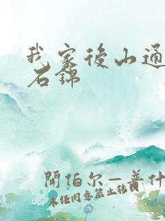 我家后山通仙界石锦
