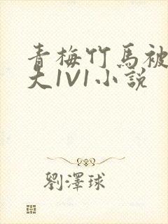 青梅竹马被C到大1V1小说