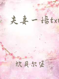 夫妻一场txt