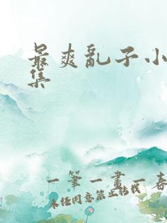 最爽乱子小说合集