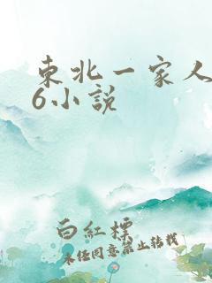 东北一家人1一6小说